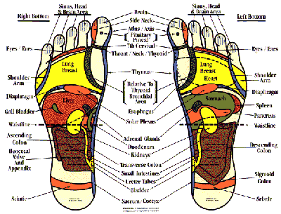 افزایش قد با دمپایی افزایش قد Foot massager