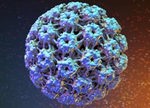 Non-­enveloped dsDNA virus Infects epithelial